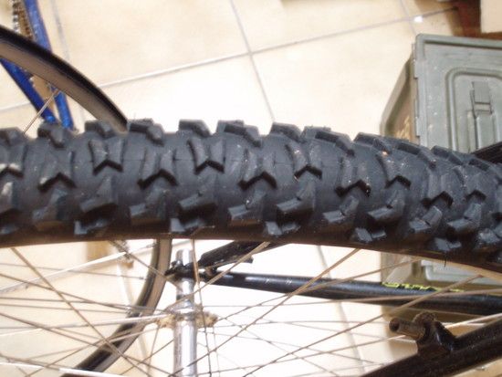 RitcheyZ-Max005