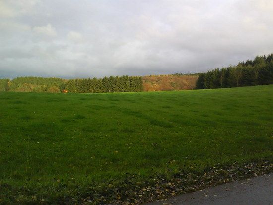 DSC00009 1226338646