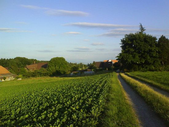 DSC00026