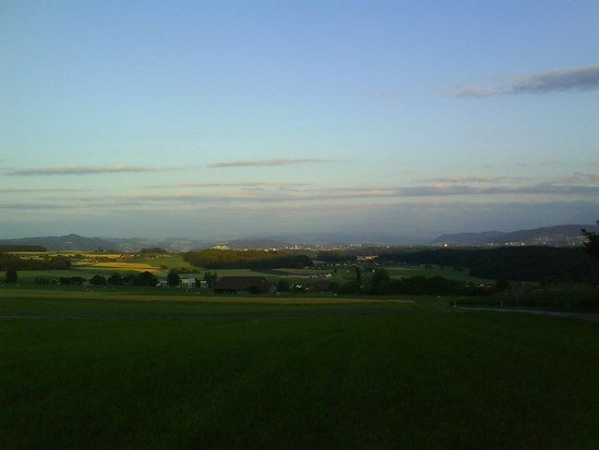 DSC00029
