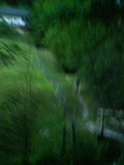 DSC00034