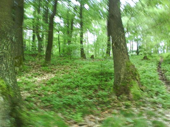 DSC00057