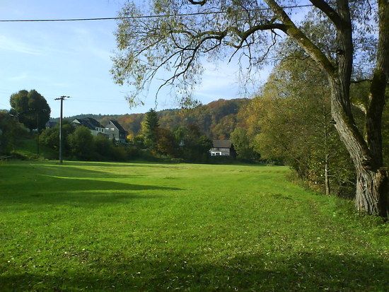 DSC00117