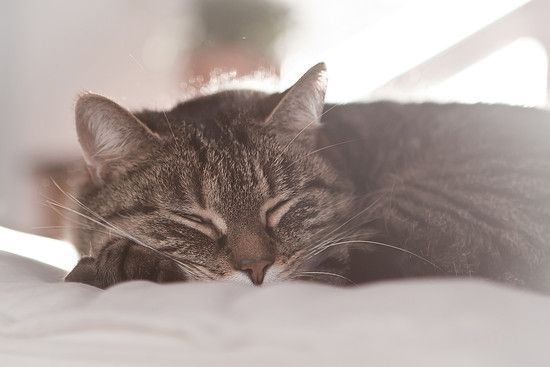 IMG_8845-lr
