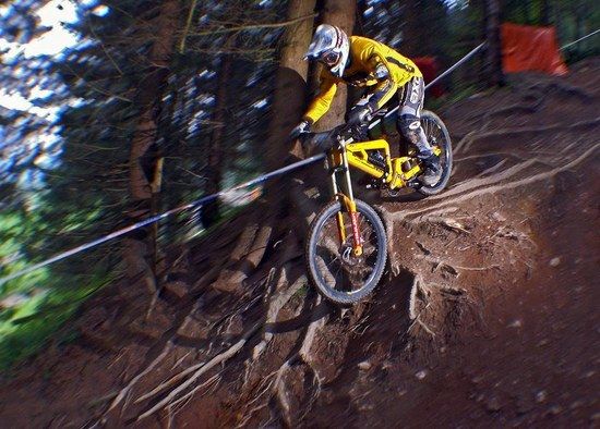 leogang2008