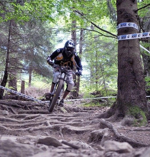 todtnau2010
