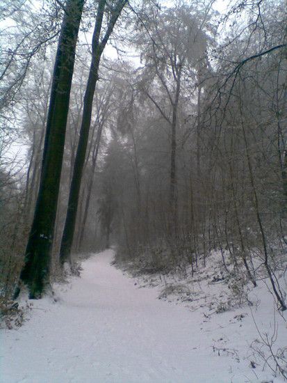 Bild013-2