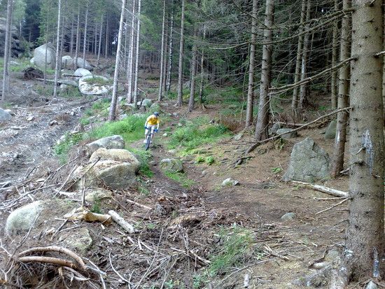 Flori im Downhill