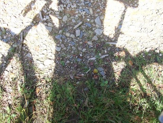 schatten