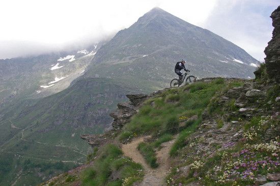 Bernina Freeride