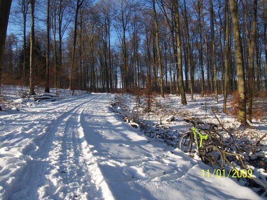 Waldweg