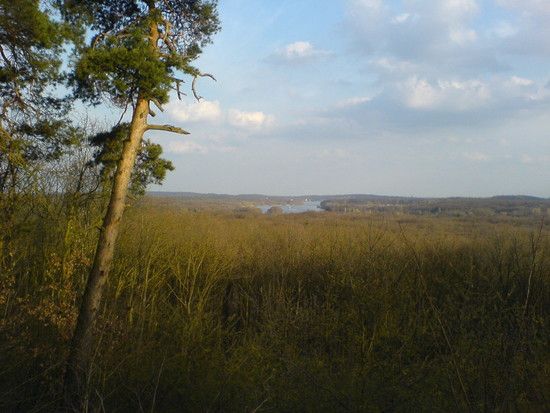DSC00338 1241694084