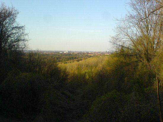 DSC00365 1241694039