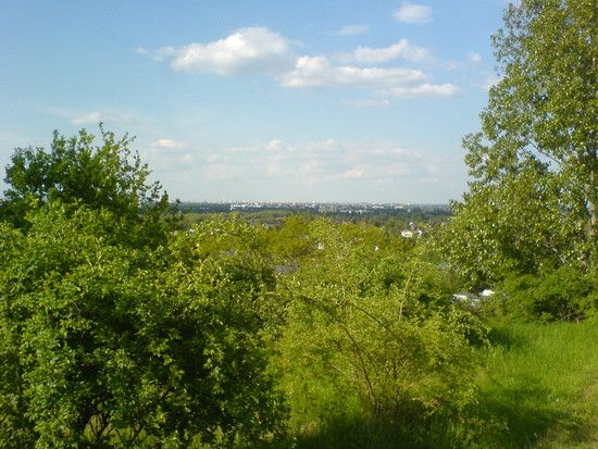 DSC00461