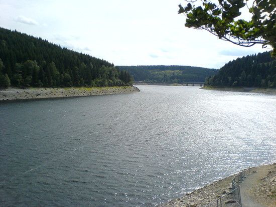 DSC00579