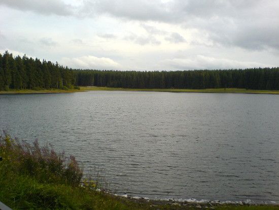 DSC00589