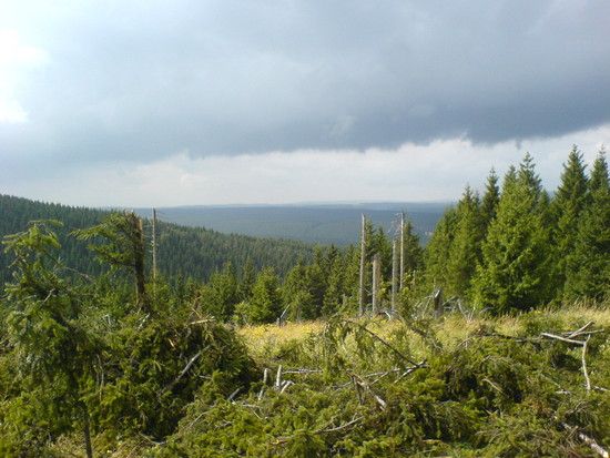 DSC00590