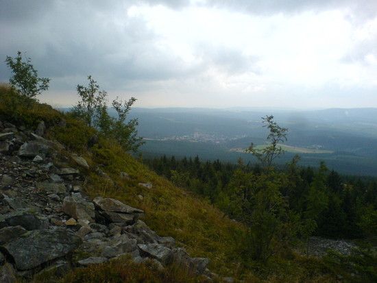 DSC00591