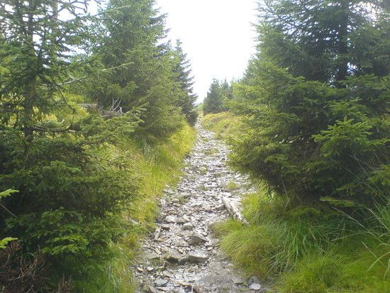DSC00596
