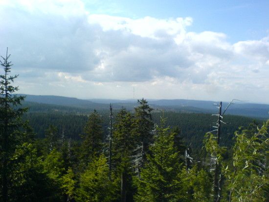 DSC00646