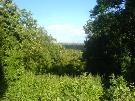 DSC00873