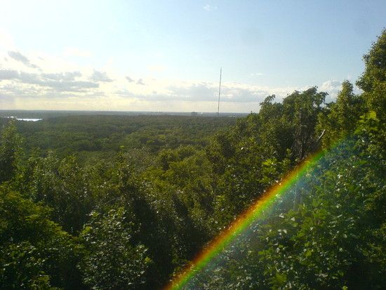 DSC00874