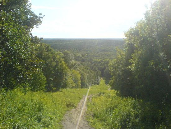 DSC00876