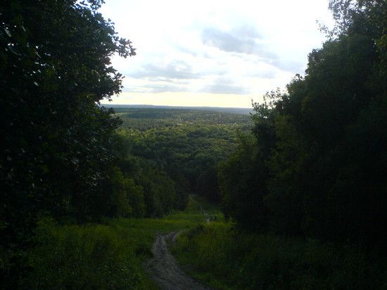 DSC00877