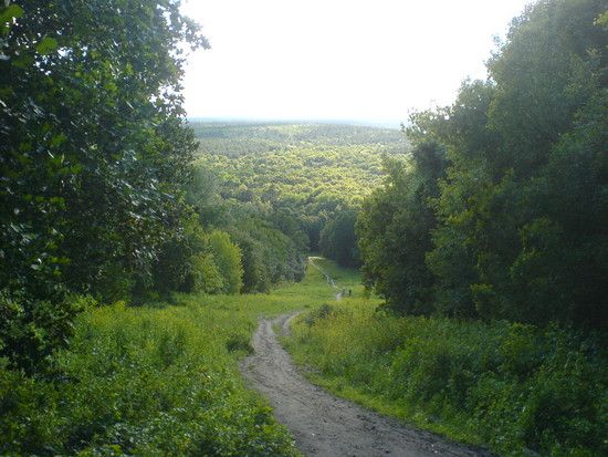 DSC00878