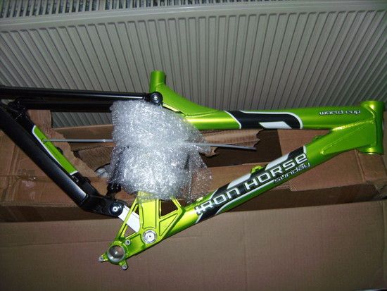 BILD2550