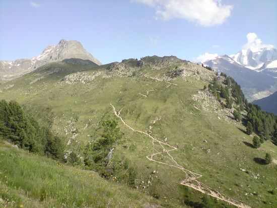 DSC01167