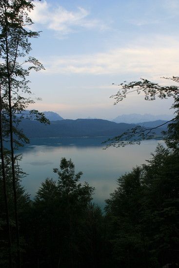 IMG 0046