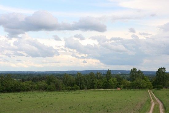 IMG 0552