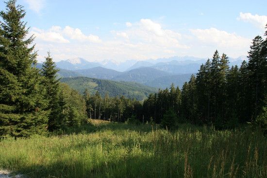IMG 9986