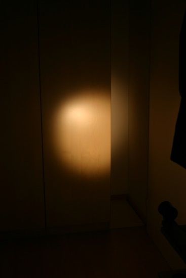IMG 8781
