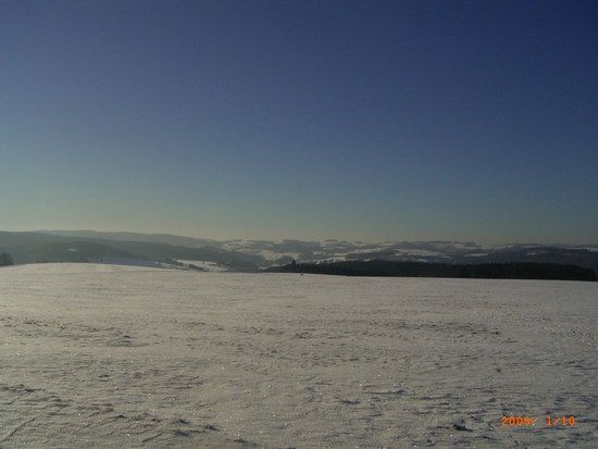 09.01.2009005