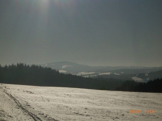 09.01.2009010
