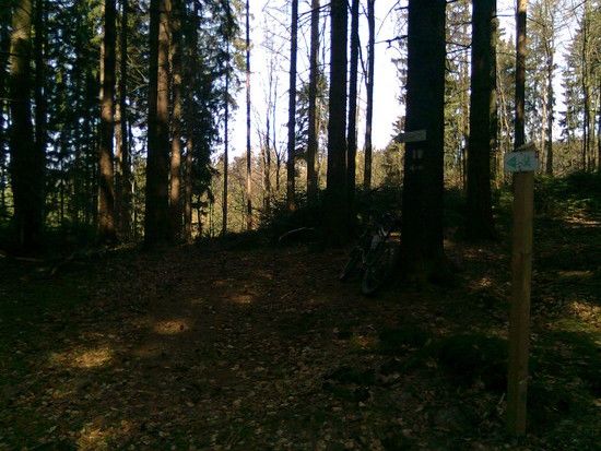 Bild0040