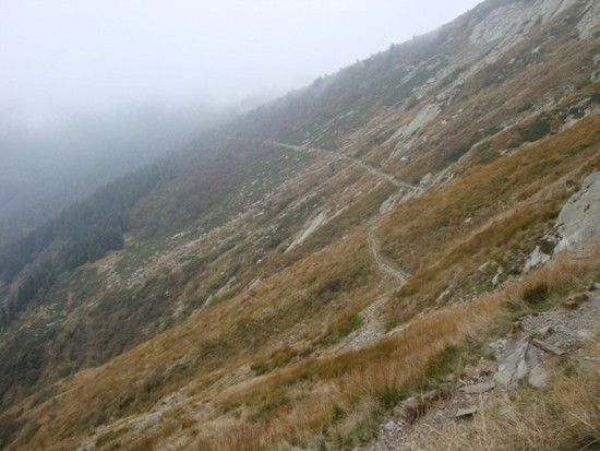 DSC04549
