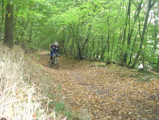 005MTBO 2008