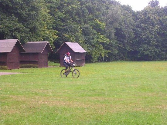 037MTBO 2008