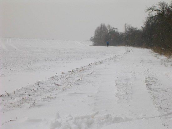 Winterpokal