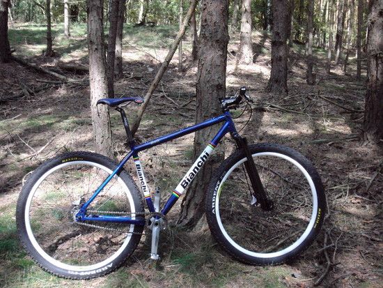 Bianchi SOK