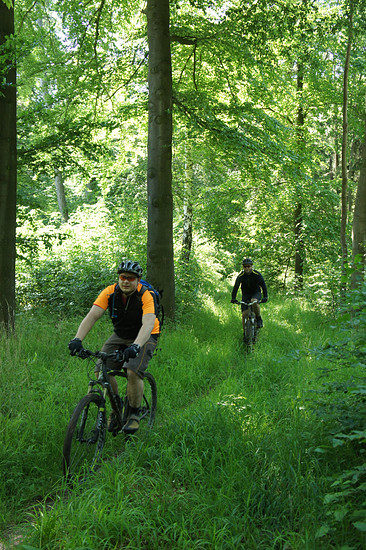 Im Oderwald mal kein Schotter