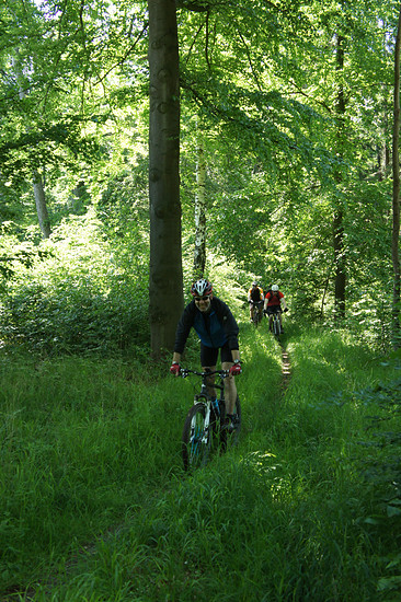 Da lacht das Herz bei diesem Trail