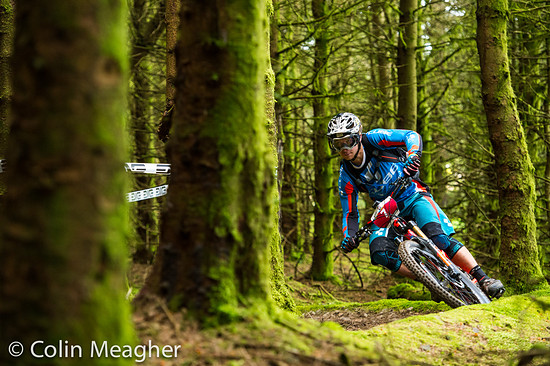 11 Tweedlove - Sonntag Meagher-