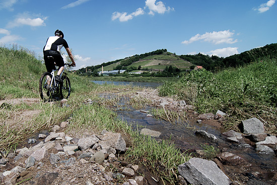 Poison Zyankali 650B