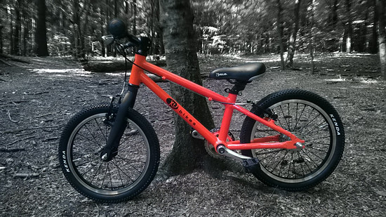 WP 20140606 16 44 50 Refocus