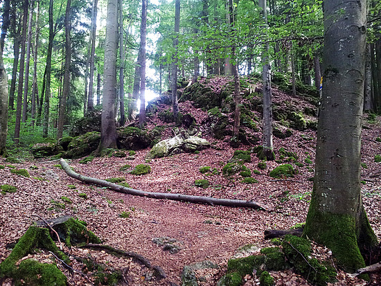 Paul Pfinzing Weg 008