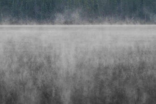 Nebel auf dem Wasser